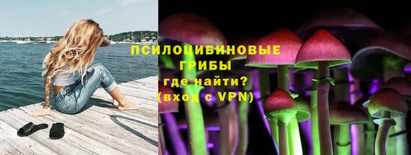 мдпв Зерноград