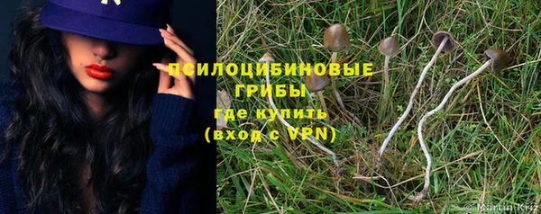 герыч Зеленодольск