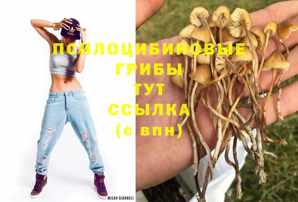 синтетический гашиш Зеленокумск